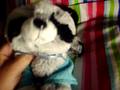 My Opinion on Retiring Webkinz. *REQUESTED*