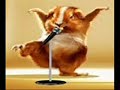 I am a believer- Hamster Version Manele-Gratis.net
