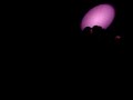 animatrix-vitalic.html