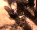 Nois na pra�a da baleia