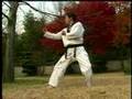 Kukkiwon Text Book 1-g Chagi-Kicking 1995