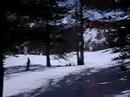 Risoul downhill tussen de bomen (2)