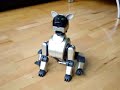 AIBO - Weist du wohin wir gehen