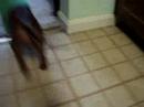 Kai playing