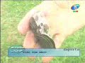 Arqueria MDQ Arqueria MDQ