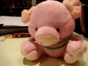 CUTE PIG