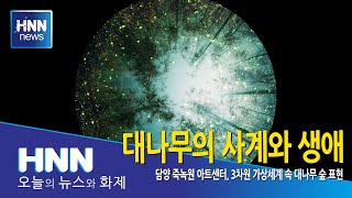 대나무의 사계와 생애