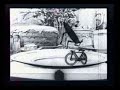 \McCay, Winsor (1921) - Dreams of the Rarebit Fiend - Bug Va