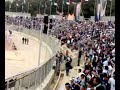 الزعيم الفيصلاوي
