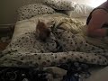 CUTEST DOG EVER !!!!!!!!!!!!!!!!!!!!!!!!!!