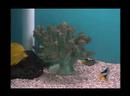 UnderWaterWorld UnderWaterWorld