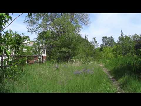 Lunch Online - Listen to Ben Helphand, Executive Director of NeighborSpace and Beth White, Chicago Region Director of the Trust for Public Land, discuss the planned Bloomin...