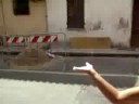 una insolita sardegna