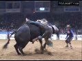 Wild Rides at Swift Current Rodeo
