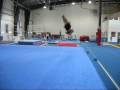 videos de 2008 UGA Winter Gymnastics