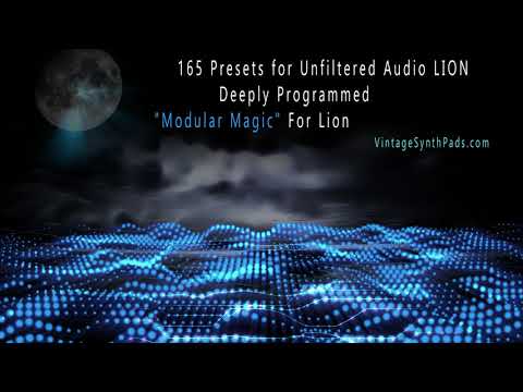 Unfiltered Audio LION Presets