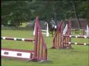 Charlie 4 yrs showjumping @ Bramham 2nd outing