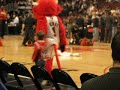 Benny the Bull & Jr. Part 1 Benny the Bull & Jr. Part 1