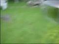 videos de Jumping off trampoline for five minutes
