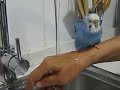 Pichi bañandose