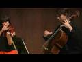 Silver Roots - Mozart Flute Quartet In D - 2nd Movement