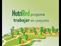 Nutrired - Tejiendo redes, se nutren vidas