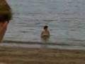 videos de Slut in the sea 3 (Morecambe bay)