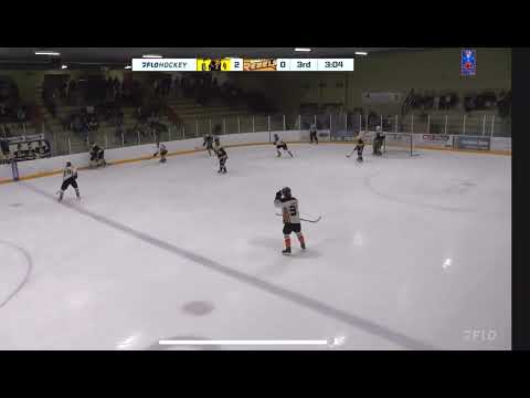 6 on 4 PP In and Out Missed Goal vs GF Playoffs Mar 3/25