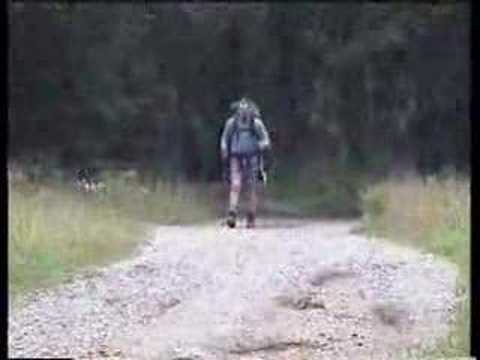 Boy Scout Troop 205 - 50 Mile Hike ...