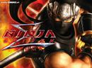 A Tribute to Ninja Gaiden