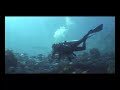 Underwater around Balicasag