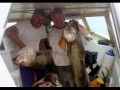 PESCA DESPORTIVA - &Aacute;GUIA BRANCA - CASCAIS