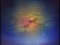 le nozze di figaro  wolfgang amadeus mozart  vers  2
