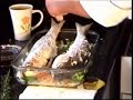 Dom Mota ensina...Tainha assada no forno