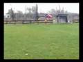 Howering Falcon 3D whit crash.avi