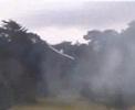 tjd models do the Pyrotechnic display at weston park