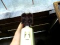 COP 357 Derringer