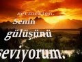 yaz gülü
