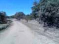 expedicion SOTILLO (parte 1).3gp