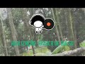 música de bolso   maurício pereira   pra marte