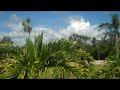 Belize real estate The Villas at Cocoplum