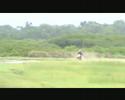 Wheelies and some Sliding 2008 CRF450