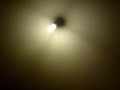 Trying To Catch Flies