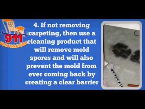 how to kill carpet fungus