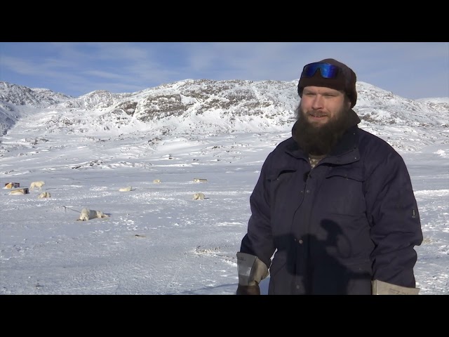 Sisimiut TV lokal - 29.08-2024