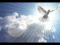 Contrababylon - Verdadera Libertad Promo Disco 2008