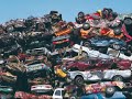 Pete Duel: Peace & Ecology Now