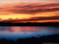 Unbeliavable Nature