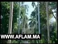 افلام عربية ممنوعة من العرض