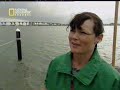 Volvo ocean race